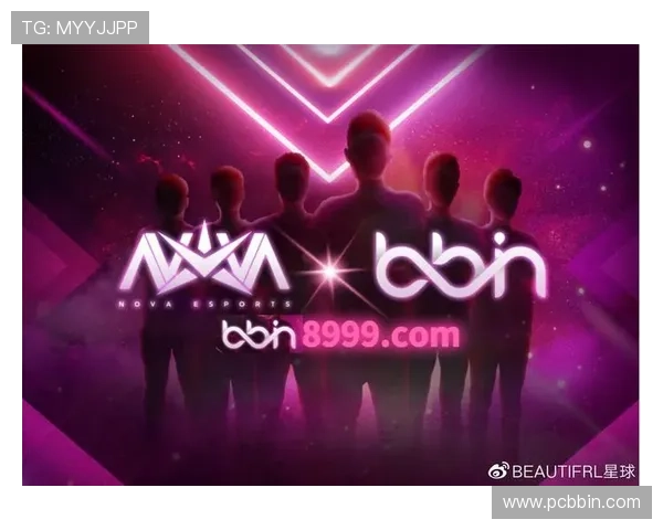 bbin直营网被审核对合作伙伴的影响及应对策略全面解析